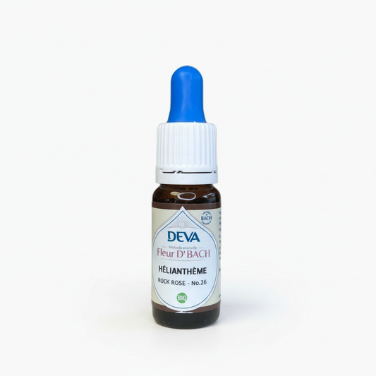 26 - helianthéme (rock rose) - 10ml